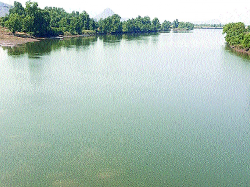 Due to the chemical waste fish death in Savitri River in Mahad | महाड औद्योगिक क्षेत्रातील रासायनिक सांडपाण्यामुळे नदीतील मासे झाले नाहीसे