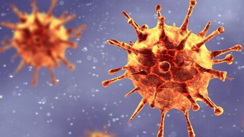 Coronavirus in Nagpur: The epidemic slowed down | CoronaVirus in Nagpur : महामारीचा वेग मंदावला