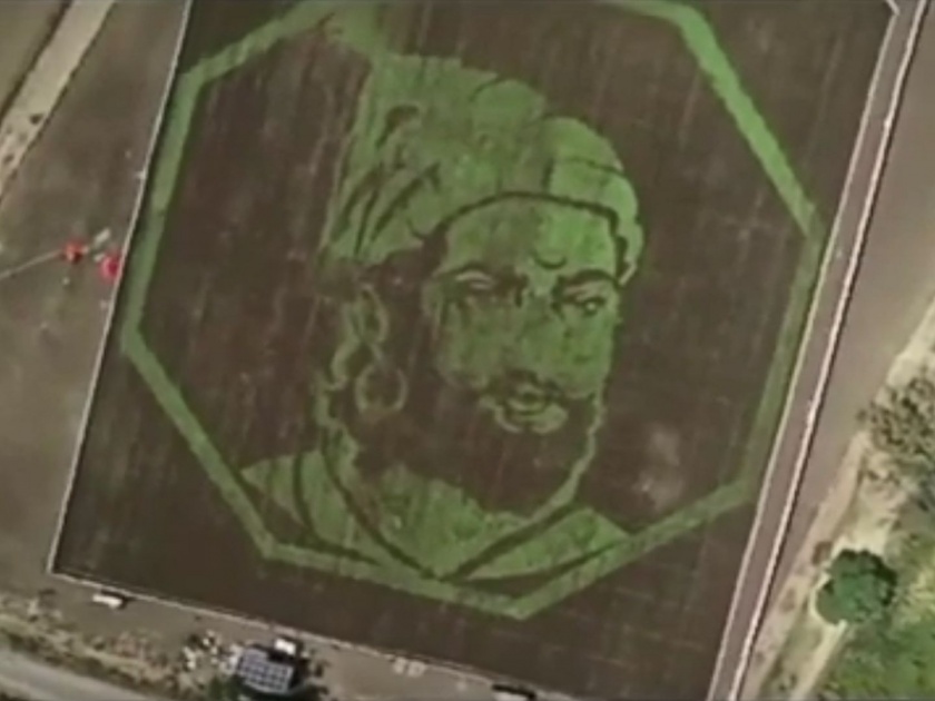 People are sharing google maps locate a crop art tribute to Chhatrapati Shivaji Maharaj video goes viral | Video: सहा एकर शिवारात अवतरले छत्रपती शिवराय; बळीराजाने साकारला 'रयतेचा राजा'