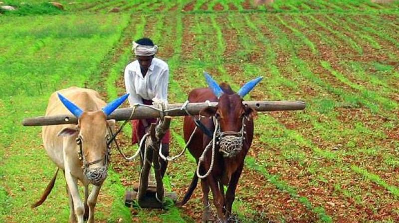 Loans granted to farmers who have got loan waiver before June 30 | कर्जमाफी मिळालेल्या शेतकऱ्यांना ३० जूनपूर्वी कर्ज द्या