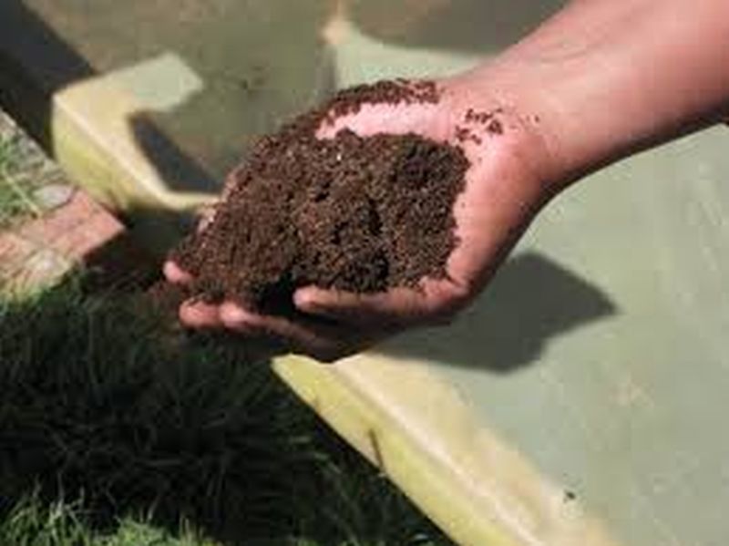 Motivation to make compost from wet waste | ओल्या कचऱ्यापासून खत तयार करण्याला चालना      