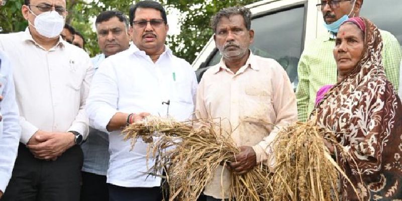 guardian minister vijay wadettiwar visited farmer on loss of crop due to untimely rain | शेतकऱ्यांनो खचू नका, पूर्ण मदत करू : विजय वडेट्टीवार