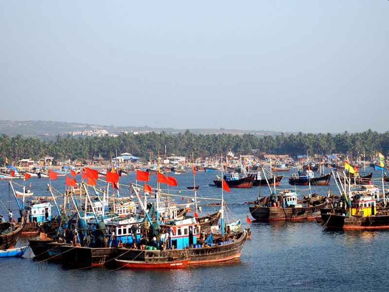 Possession of high speed stroller fishing boats in the Malvan Sea; Fisheries operations | मालवण समुद्रातील कर्नाटकाची मासेमारी नौका ताब्यात; मत्स्य विभागाची धडक कारवाई 