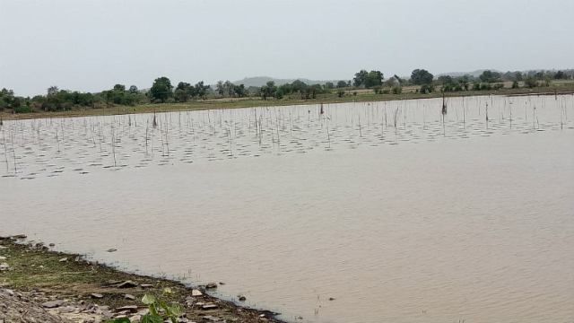 978 Mama lakes in East Vidarbha disappear! | पूर्व विदर्भातील ९७८ मामा तलाव झाले गायब !
