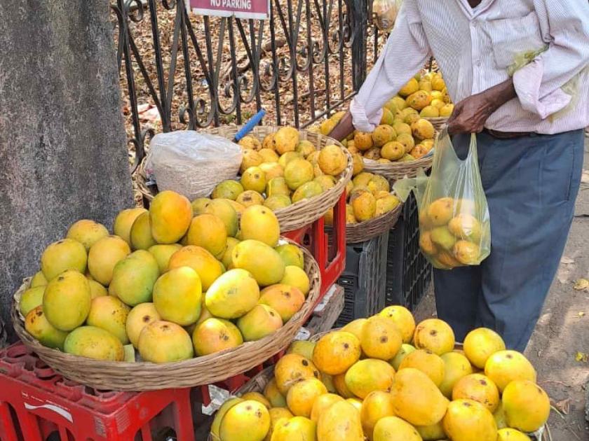 Prices of Mankurad mangoes have come down due to increase in arrivals, from Rs 4,000 per dozen to Rs 2,000 per dozen | आवक वाढल्याने मानकुराद आंब्याचे दर उतरले, ४ हजार प्रती डझनवरुन २ हजारावर आले