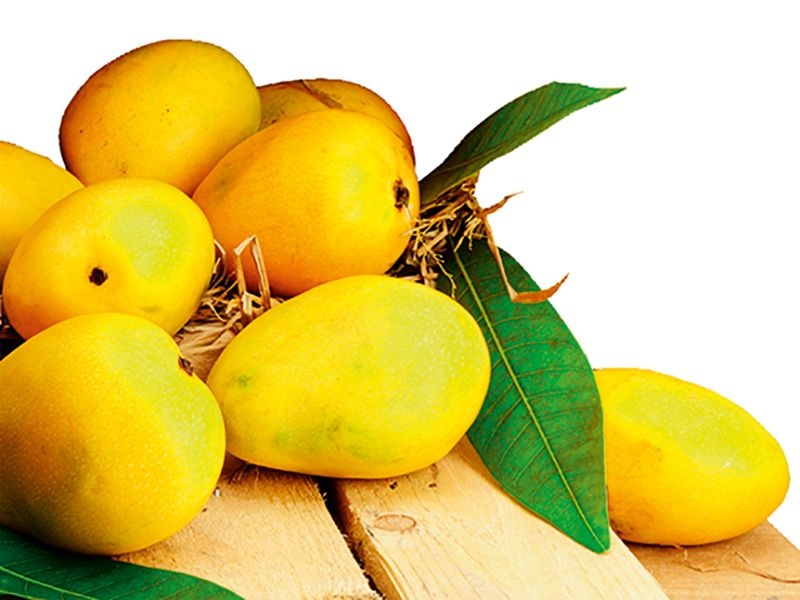 Hapus prices rise; Large influx of Karnataka mangoes after Konkan | हापूसचा भाव वधारला; कोकणनंतर कर्नाटकी आंब्याची मोठी आवक