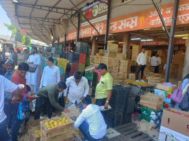 The king of fruits has come o...! Starting soon to buy mangoes in the market yard | Alphonso Mango: फळांचा राजा आला ओ...! मार्केटयार्डात आंबा खरेदीसाठी लगबग सुरू