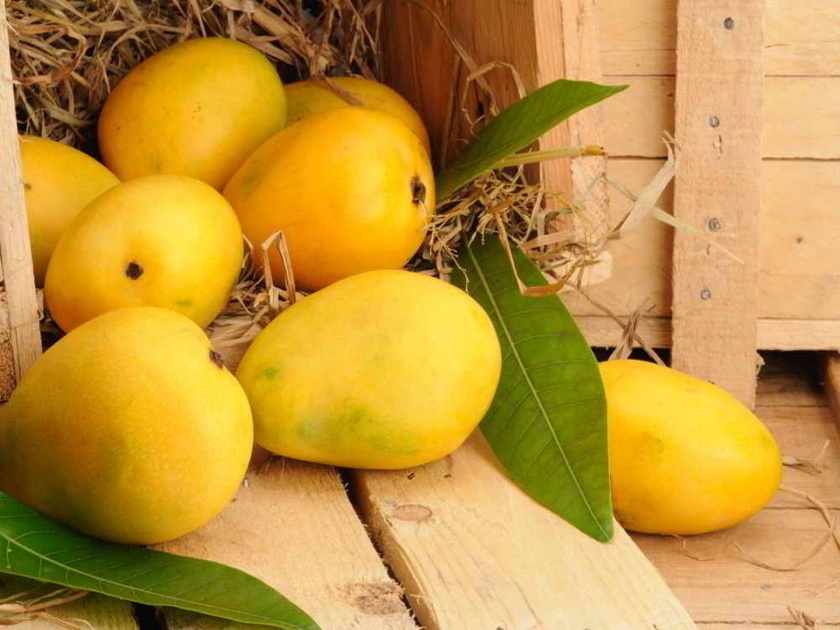 Really mango should not be eaten in diabetes know what the celebrity dietitian rujuta divekar says | 'दिवेकर डाएट'वाल्या ऋजुताताईंचा डायबिटीसवाल्यांसाठी 'मँगो मंत्र'
