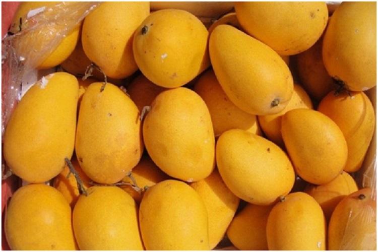 Mango prices fall in Nagpur | नागपुरात आंब्याचे भाव घसरल्याने खवय्यांना दिलासा