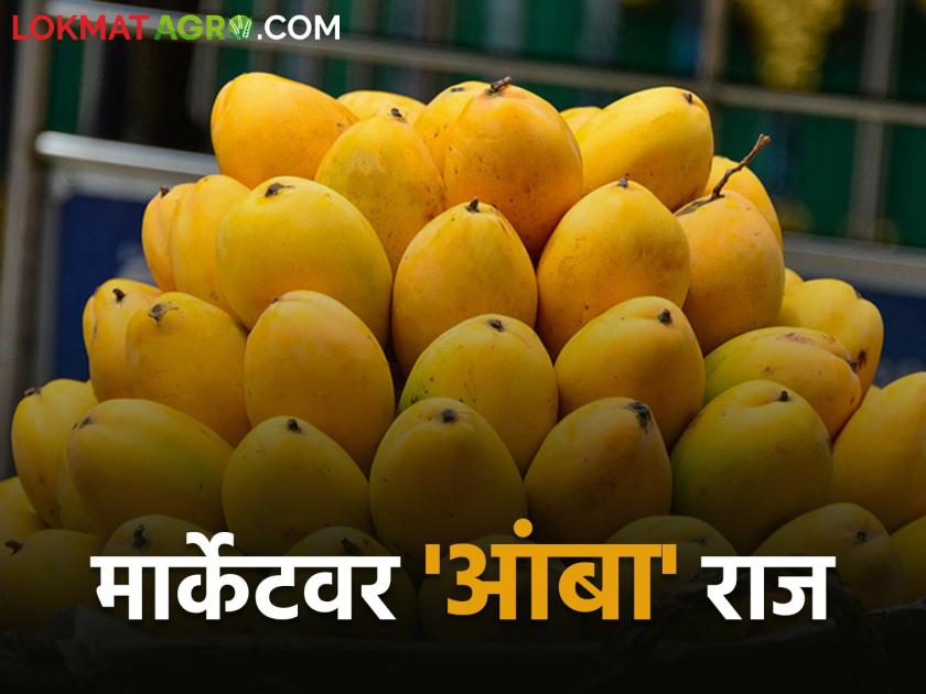 Mango sweetness on Akshaya Tritiya One lakh boxes were received | अक्षयतृतीयेला आंब्याचा गोडवा; आवक गेली एक लाख पेटीवर