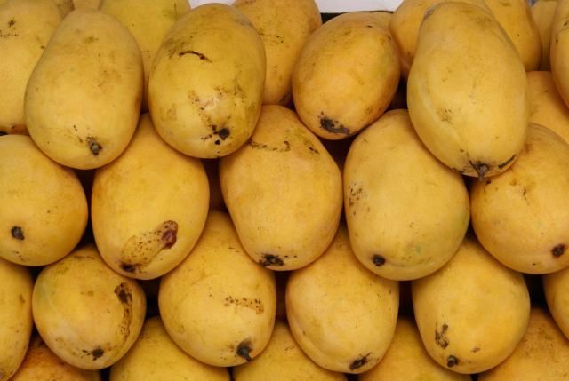  Impact Lokmat: Ethylene spray, check stock of mango ripening | प्रभाव लोकमत: इथिलीन स्प्रे, पावडरने पिकविलेला फळांचा साठा तपासणी