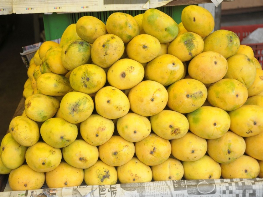 Pakistan's Fazley Mango in the Pimpri market | पाकिस्तानचा फजली आंबा पिंपरी बाजारात