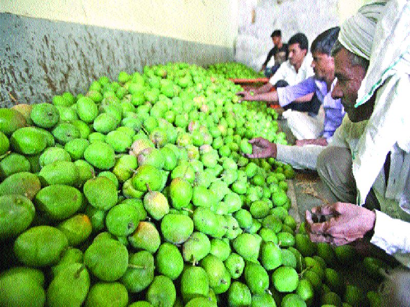  'Ratnagiri' to taste 'Karnataka'! 'Hapus' is beyond the reach of ordinary citizens | ‘रत्नागिरी’ची चव ‘कर्नाटक’वर! ‘हापूस’ सर्वसामान्यांच्या आवाक्याबाहेरच