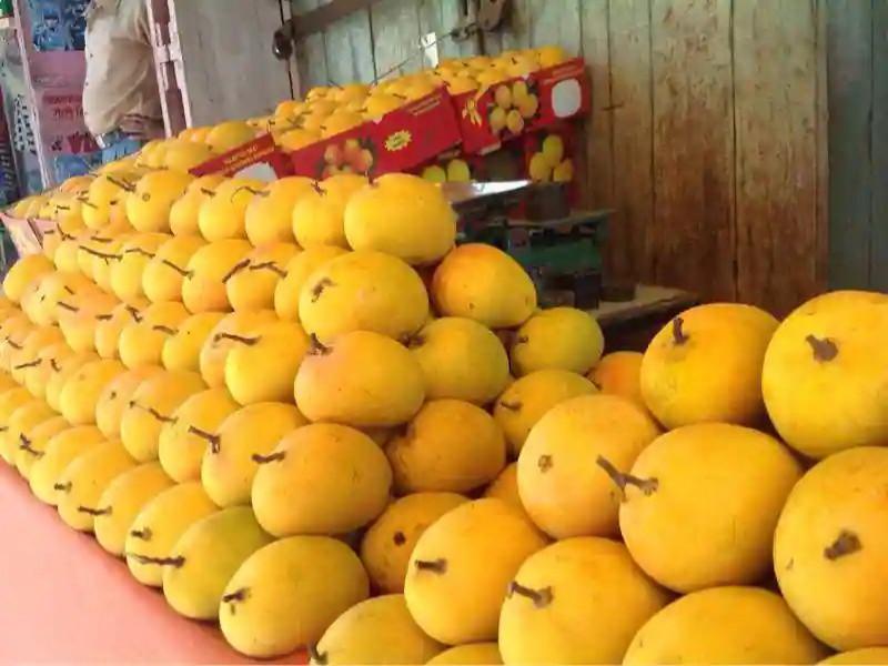 King of fruits mango is eating in Pune Know the price of mangoes | Alphonso Mango: पुण्यात 'फळांचा राजा' खातोय भाव; जाणून घ्या आंब्यांचे दर...!