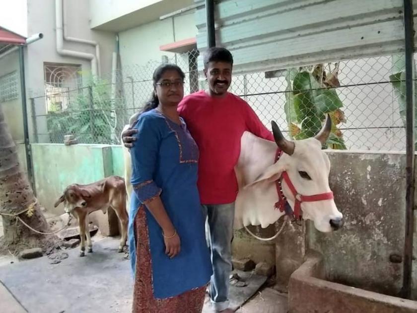 IT couple in Chennai running a dairy farm from their garage | अभियंता जोडप्याने उभी केली दूध डेअरी