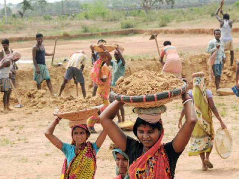 Gender discrimination while giving wages for MNREGA | मनरेगाची मजुरी देताना होतोय लिंगभेद 