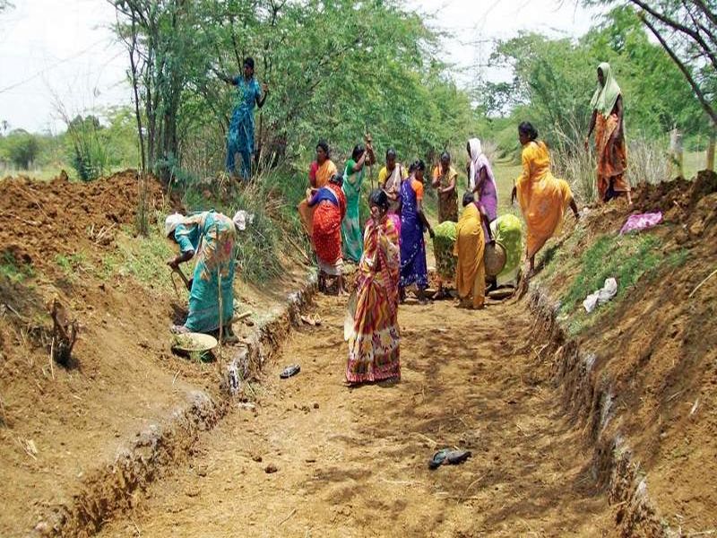 Work for 75,000 workers through MGNREGA | मनरेगाच्या माध्यमातून ७५ हजार मजूरांच्या हाताला काम