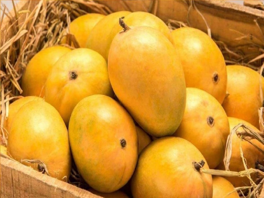 Mango imports increased, but prices Decreased; Export from Vashi market | आंब्याची आवक वाढली, मात्र दर गडगडले; वाशी बाजारातून परदेशात निर्यात