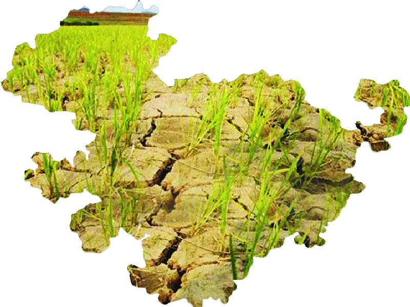 Marathwada remains dry over plenty of water councils | पाणी परिषदांच्या पुरात बुडाला कोरडा मराठवाडा