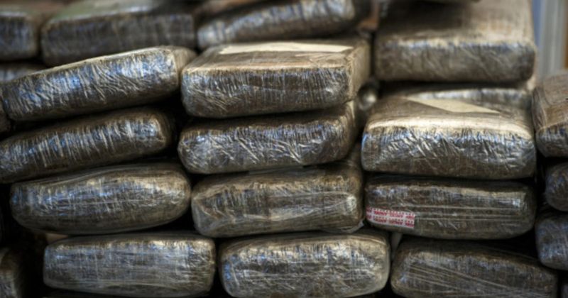 DRI action: Cannabis worth Rs 3.07 crore seized | डीआरआयची कारवाई : ३.०७ कोटींचा गांजा जप्त
