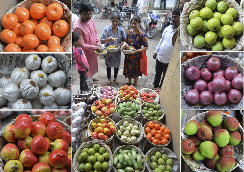 EcoFriendly Fruit of Matigada for Decoration of Bappa and Lakshmi in Solapur | बाप्पा अन् लक्ष्मीच्या सजावटीसाठी माटीगाडाची इकोफ्रेंडली फळे सोलापुरात