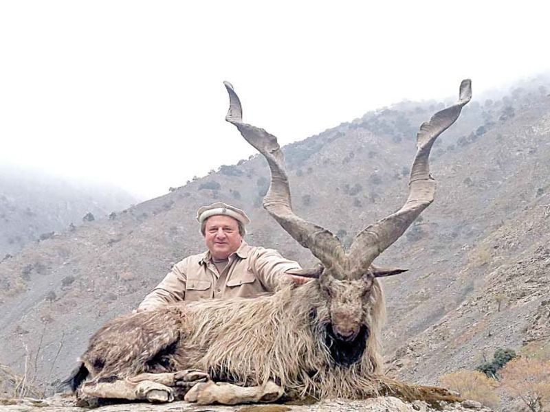 US man pays record ₹78 lakh to hunt Pakistan's national animal | पाकच्या राष्ट्रीय प्राण्याची त्यानं केली शिकार अन् भरावा लागला 78 लाखांचा दंड  