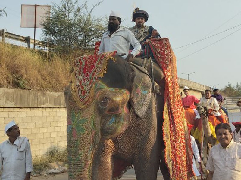 married man on elephant, Unique Wedding ceremony in Pune... | नवरदेव हत्तीवर तर वऱ्हाडी घोडे अन् उंटावर; पुण्यातील अनोखा विवाहसोहळा...