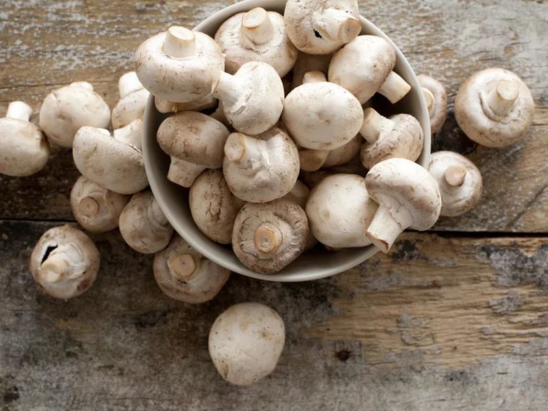 Do you know the health benefits of mushrooms | मशरूम खाण्याचे 'हे' फायदे तुम्हाला माहीत आहेत का?