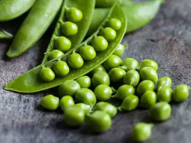 Health benefits of green peas helps in weight loss | हिवाळ्यात मटार खाणे फायदेशीर, वजन करा कमी आणि हृदय ठेवा निरोगी!