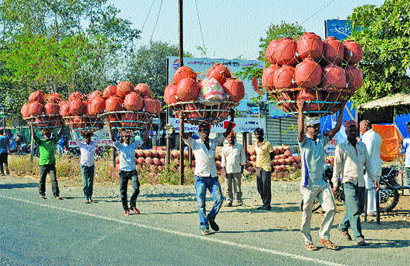 Arrivals of three thousand Gujarati monasteries a week; Sellers from Bihari sellers in Solapur! | आठवड्यात तीन हजार गुजराती माठांची आवक ; बिहारी विक्रेत्यांकडून सोलापुरात घरोघरी विक्री !