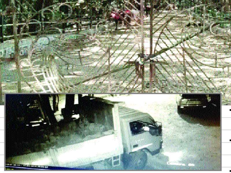  Matheran's Vehicle Violation | माथेरानमध्ये वाहनबंदीचे उल्लंघन