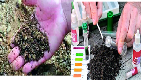Shirol, Hathkangale, Kagal's 'texture' spoiled: soil testing report | शिरोळ, हातकणंगले, कागलचा ‘पोत’ बिघडला : माती परीक्षण अहवाल