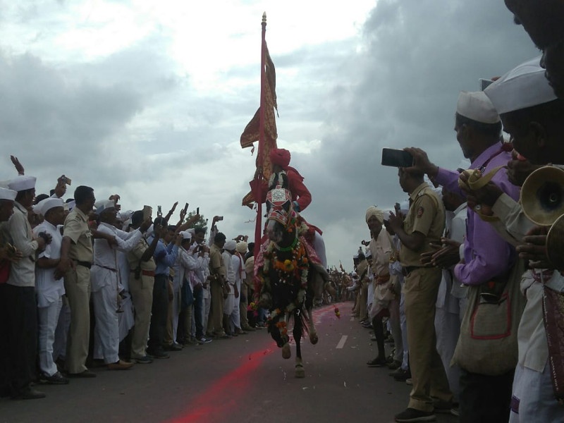 and horse run away for mauli devotee | अन् अश्व दौडला माऊलींच्या दर्शना.. 
