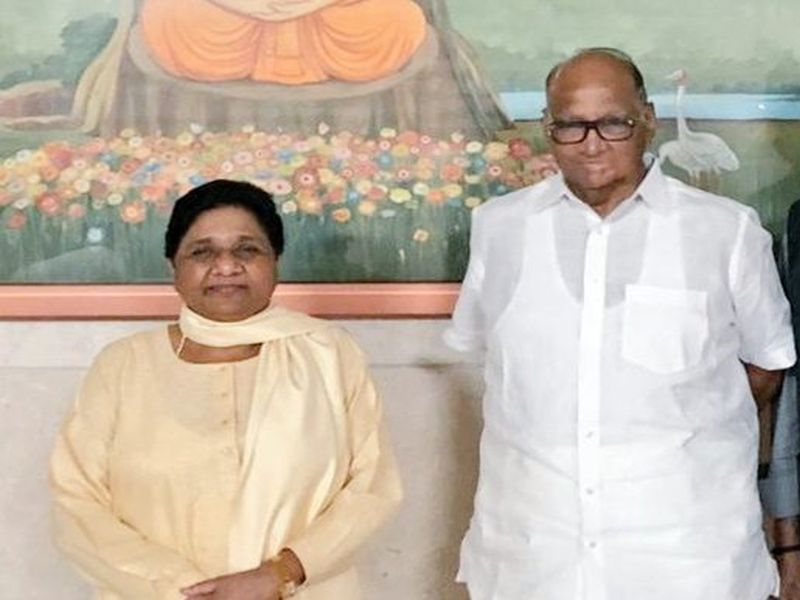 Mayawati's understanding about anti-NCP-Sharad Pawar | विरोधी आघाडीबाबत मायावती समंजस- शरद पवार