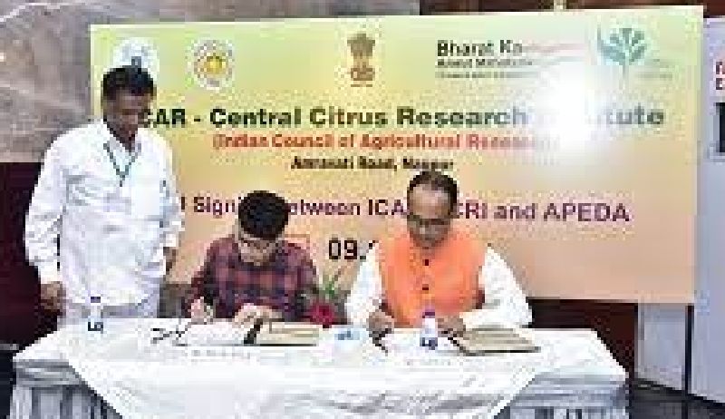 icar-ccri Nagpur signs MoU with APEDA Ministry of Commerce & Industry | नागपुरी संत्रा, माेसंबी निर्यातीचा मार्ग प्रशस्त