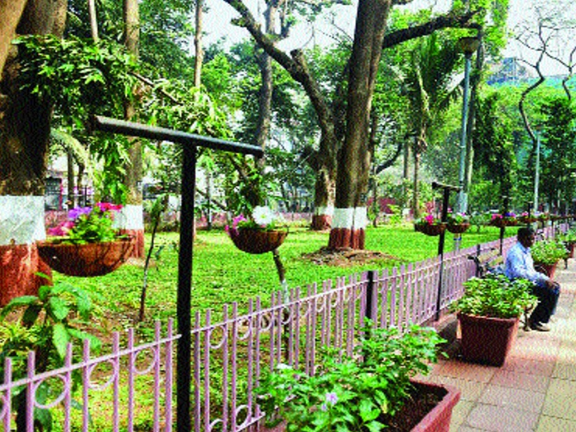 Hanging wells in the garden of Mumbai; 'Petonia' plant adds beauty | मुंबईच्या बागेत बहरणार झुलत्या कुंड्या; ‘पिटोनिया’च्या रोपामुळे सौंदर्यात भर