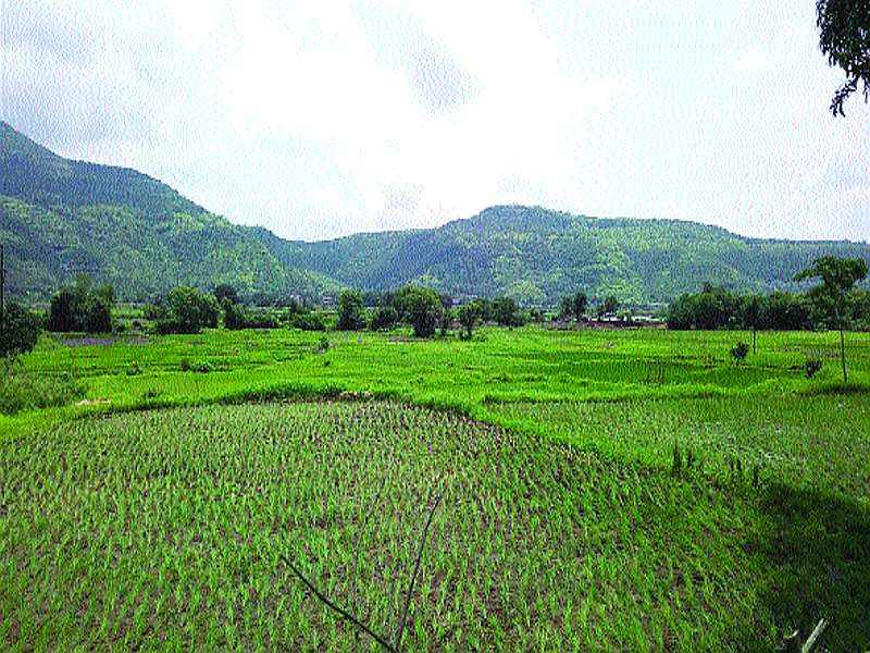 The area of padic area in Mahad taluka increased | महाड तालुक्यातील पडीक क्षेत्राचे प्रमाण वाढले