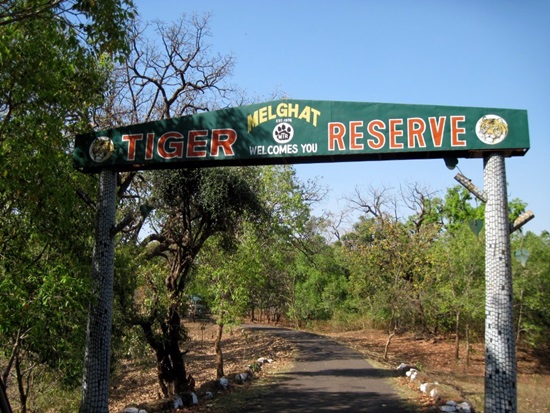 Amravati : East Melghat forest section is closed | चिखलदरातील पूर्व मेळघाट वनविभाग बंद