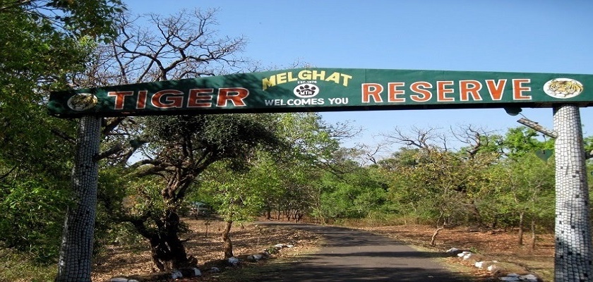  35 villages in buffer zone of Melghat Tiger Reserve | मेळघाट व्याघ्र प्रकल्पाच्या बफर झोनमध्ये ३५ गावे !