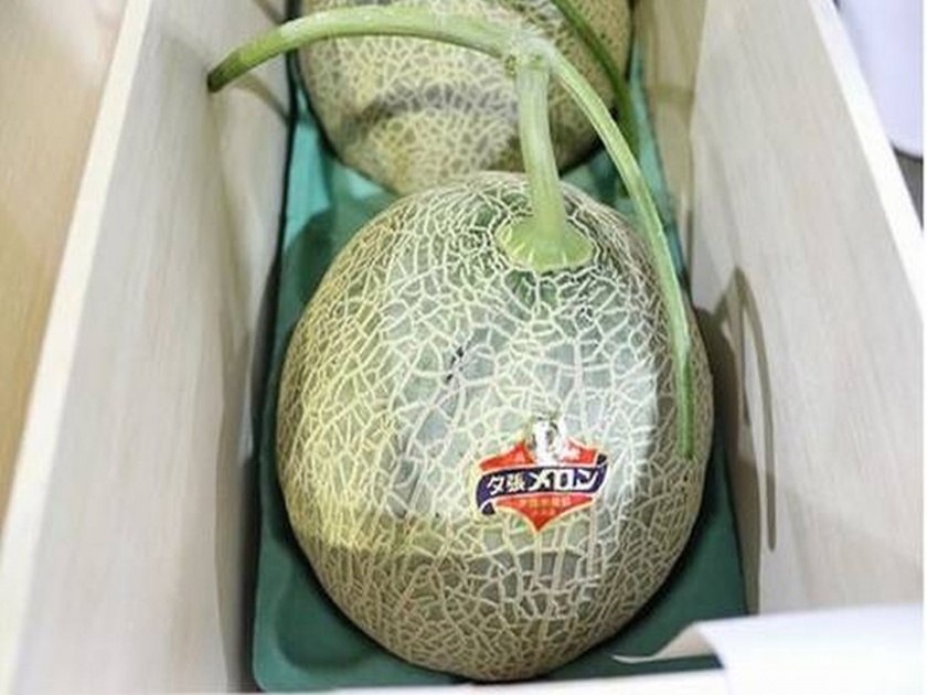 Why someone just bought a pair of melons worth 31 lakh in Japan | काय सांगता! ३१ लाख रूपयांचे दोन खरबूज, पण इतकी किंमत का?