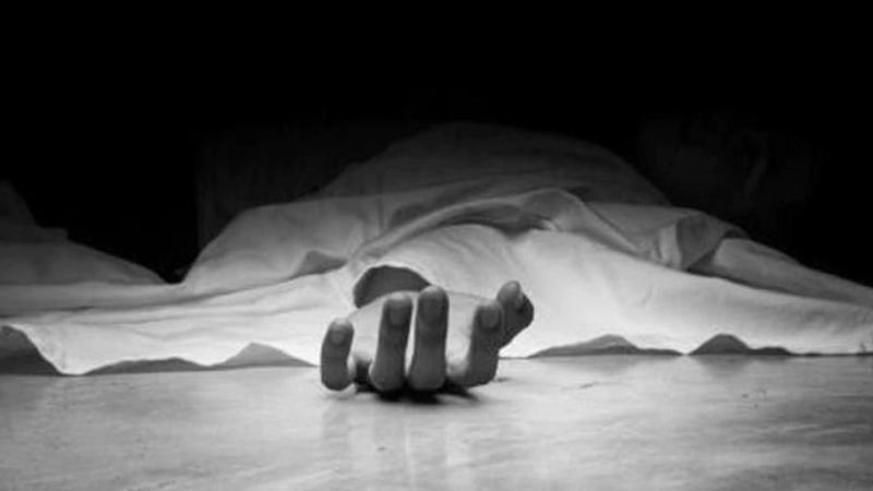 Raged mental patient dies in police van | गोंधळ घालणाऱ्या मनोरुग्णाचा पोलीस व्हॅनमध्ये मृत्यू