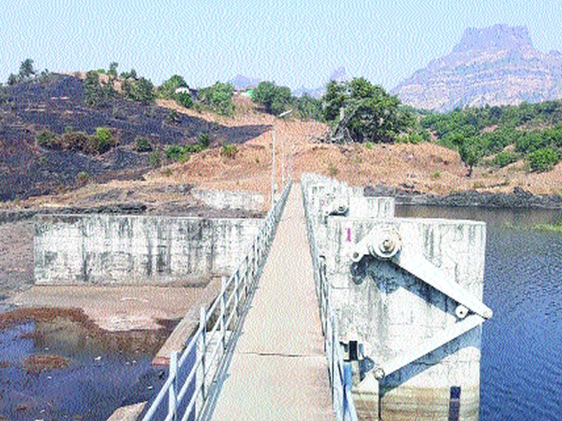 Sanjivani to the bridges of Panvel taluka | पनवेल तालुक्यातील पुलांना संजीवनी