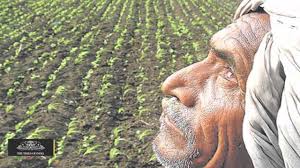 Give equal compensation to the victim farmer's family | पीडित शेतकरी कुटुंबीयांना समान भरपाई द्या