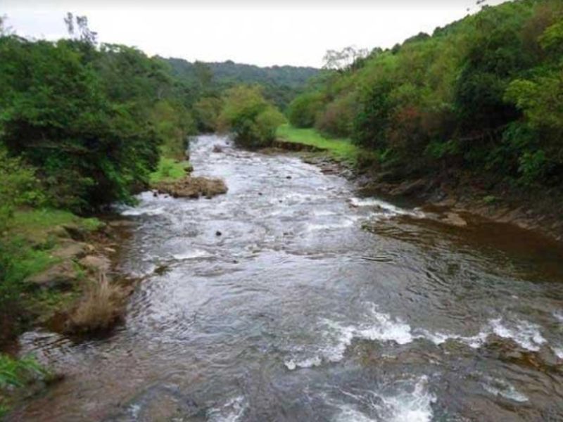 Karnataka lowers water level in Mhadai river, claims CM | कर्नाटकमुळे म्हादई नदीतील पाण्याची पातळी खालावली, मुख्यमंत्र्यांचा दावा
