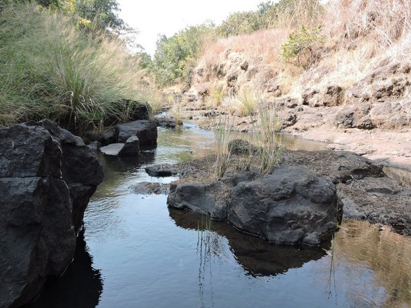 Politics over Mhadai river water | म्हादईप्रश्नी दोन्ही राज्यांत राजकारण, गोव्याचे बरेच पाणी वळवले