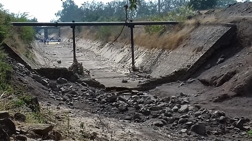 Pray for the water of 'Mhaysal' in a dry canal - Bhaga Ghala: Water Resistance Agitation | ‘म्हैसाळ’च्या पाण्यासाठी कोरड्या कालव्यात भजन -- बेडगला धरणे : पाणी न सोडल्याचा आंदोलनचा इशारा