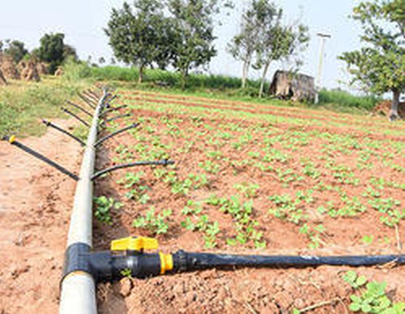 Micro Irrigation grant of Rs 13 crore pending | सूक्ष्म सिंचनाचे १३ कोटींचे अनुदान रखडले