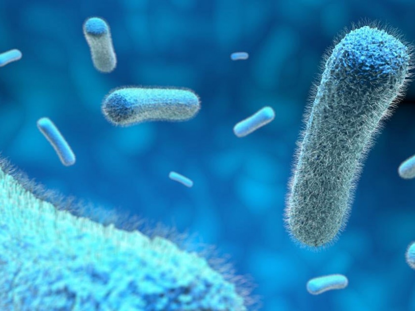 Microbes: myth and reality | सूक्ष्म जिवाणू : बागुलबुवा आणि वास्तव