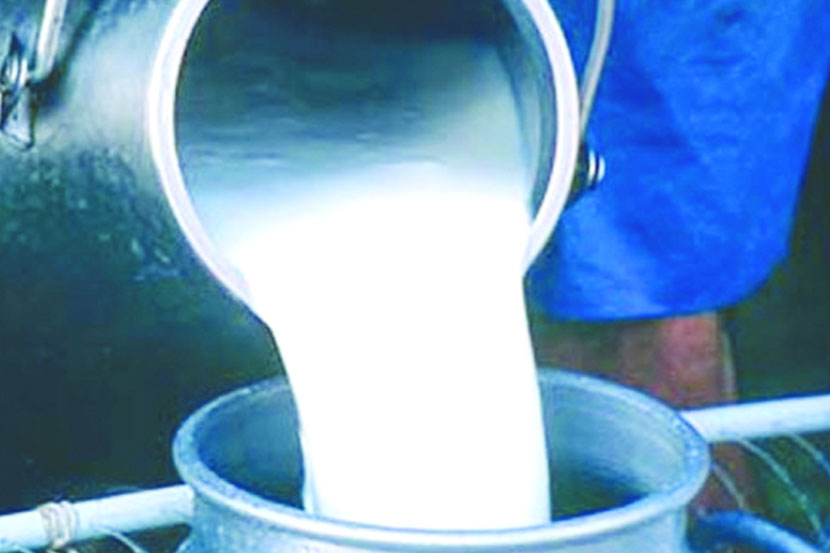 Support of Shiv Sena to milk prices: Shashikant Gad | दूध दरवाढीला शिवसेनेचा पाठिंबा : शशिकांत गाडे