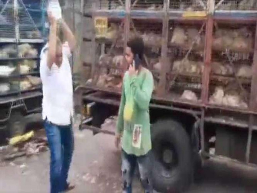 Shiv Sena corporator milind vaidya assaulted poultry seller | Video : शिवसेना नगरसेवकाची दादागिरी, कोंबडी विक्रेत्याला केली मारहाण
